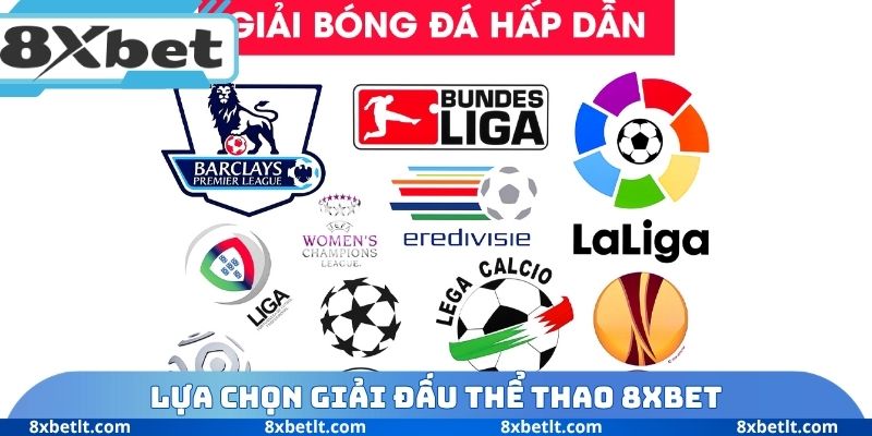 Lựa chọn giải đấu thể thao 8XBET